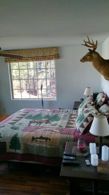 Rustic Quaint Cabin In The Woods--Pets Welcomed Dunnsville Exterior foto